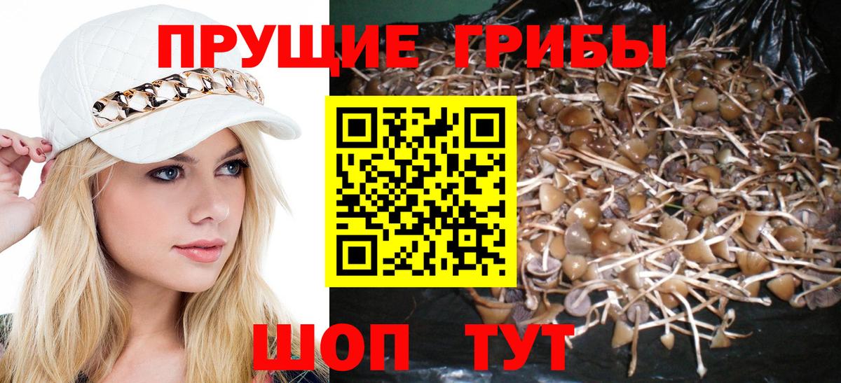 Ливны  сколько стоит  Вход с VPN  Псилоцибиновые грибы мухоморы 