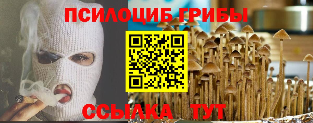 Галлюциногенные грибы прущие грибы Ливны