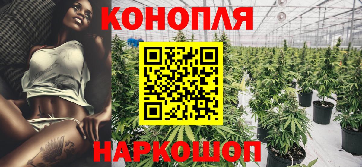 Шишки марихуана Amnesia  Вход с VPN  Марихуана Amnesia  Бошки марихуана индика  Ливны 